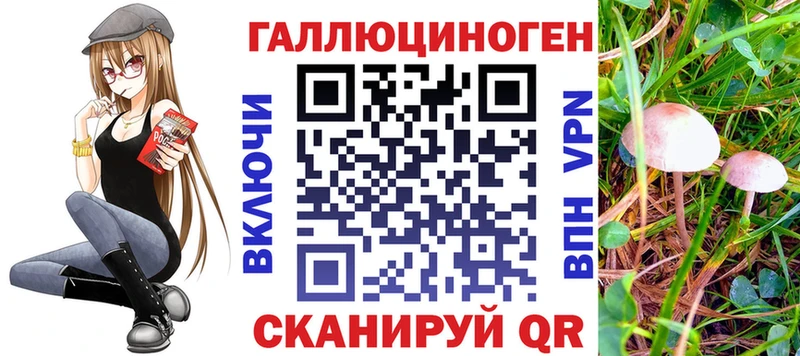 Псилоцибиновые грибы GOLDEN TEACHER  kraken зеркало  Сольвычегодск 